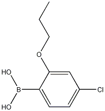 4-Chloro-2-propoxyphenylboronic acid CAS#: 1256355-03-9