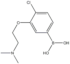 4-Chloro-3-(2-dimethylaminoethoxy)phenylboronic acid CAS#: 1256355-02-8