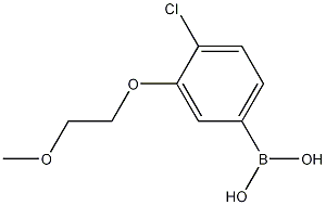 4-Chloro-3-(2-methoxyethoxy)phenylboronic acid CAS#: 1256355-00-6