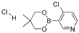 4-Chloro-3-(5,5-dimethyl-1,3,2-dioxaborinan-2-yl)pyridine, HCl CAS#: 1150271-27-4