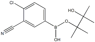 4-Chloro-3-cyanophenylboronic acid, pinacol ester CAS#: 1165935-87-4