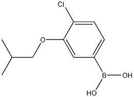 4-Chloro-3-isobutoxyphenylboronic acid CAS#: 1256346-37-8