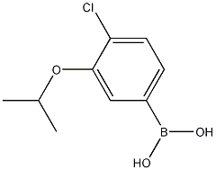 4-Chloro-3-isopropoxyphenylboronic acid CAS#: 1256346-35-6