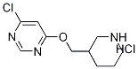 4-Chloro-6-(piperidin-3-ylMethoxy)-pyriMidine hydrochloride, 98+% C10H15Cl2N3O, 分子量 264.15 CAS#: 1185309-95-8