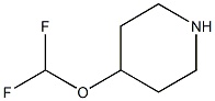 4-Difluoromethoxy-piperidine CAS#: 1147107-39-8