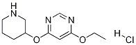 4-Ethoxy-6-(piperidin-3-yloxy)-pyriMidine hydrochloride CAS#: 1353948-32-9