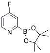 4-FLUOROPYRIDINE-2-BORONIC ACID PINACOL ESTER CAS#: 1260152-43-9