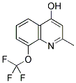 4-HYDROXY-2-METHYL-8-TRIFLUOROMETHOXYQUINOLINE CAS#: 1154918-12-3