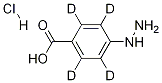4-Hydrazinobenzoic Acid-d4 Hydrochloride CAS#: 1246816-67-0