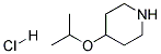 4-ISOPROPOXY-PIPERIDINE HYDROCHLORIDE CAS#: 1097146-30-9