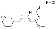 4-Methoxy-2-Methylsulfanyl-6-(piperidin-3-ylMethoxy)-pyriMidine hydrochloride CAS#: 1353946-81-2