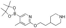 4-Methyl-2-(2-(piperidin-4-yl)ethoxy)-5-(4,4,5,5-tetraMethyl-1,3,2-dioxaborolan-2-yl)pyridine CAS#: 1350559-18-0