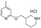 4-Methyl-2-(piperidin-3-ylMethoxy)-pyridine hydrochloride, 98+% C12H19ClN2O, 分子量 242.75 CAS#: 1185310-76-2