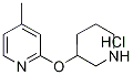 4-Methyl-2-(piperidin-3-yloxy)-pyridine hydrochloride, 98+% C11H17ClN2O, 分子量 228.72 CAS#: 1185310-94-4