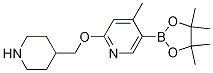 4-Methyl-2-(piperidin-4-ylMethoxy)-5-(4,4,5,5-tetraMethyl-1,3,2-dioxaborolan-2-yl)pyridine CAS#: 1350559-11-3