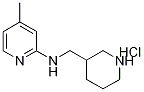 (4-Methyl-pyridin-2-yl)-piperidin-3-ylMethyl-aMine hydrochloride, 98+% C12H20ClN3, 分子量 241.76 CAS#: 1185313-60-3