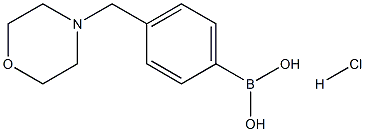 (4-(MorpholinoMethyl)phenyl)boronic acid (hydrochloride) CAS#: 1335234-36-0