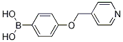 4-(Pyridin-4-ylMethoxy)phenylboronic acid CAS#: 1228181-39-2