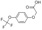 4-(TRIFLUOROMETHOXY)PHENOXYACETIC ACID CAS#: 72220-50-9