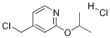 4-(chloroMethyl)-2-isopropoxypyridine hydrochloride CAS#: 1357946-36-1
