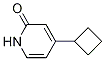 4-cyclobutylpyridin-2(1H)-one CAS#: 1159816-14-4