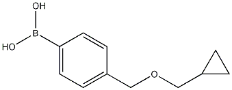 4-[(cyclopropylmethoxy)methyl]phenylboronic acid CAS#: 1256358-62-9