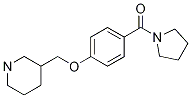 (4-(piperidin-3-ylMethoxy)phenyl)(pyrrolidin-1-yl)Methanone, 98+% C17H24N2O2, 分子量 288.38 CAS#: 1146080-82-1