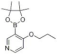 4-propoxy-3-(4,4,5,5-tetraMethyl-1,3,2-dioxaborolan-2-yl)pyridine CAS#: 1351994-80-3