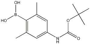 4-(tert-Butoxycarbonylamino)-2,6-dimethylphenylboronic acid CAS#: 1256355-11-9