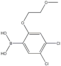 4,5-Dichloro-2-(2-methoxyethoxy)phenylboronic acid CAS#: 1256354-99-0