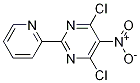 4,6-Dichloro-5-nitro-2-(pyridin-2-yl)pyrimidine CAS#: 1188037-64-0