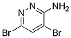 4,6-dibromopyridazin-3-amine CAS#: 1206487-35-5