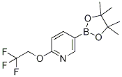 5-(4,4,5,5-tetraMethyl-1,3,2-dioxaborolan-2-yl)-2-(2,2,2-trifluoroethoxy)pyridine CAS#: 1268467-17-9