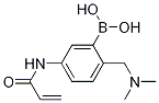 5-Acrylamido-2-((dimethylamino)methyl)phenylboronic acid CAS#: 1217500-78-1