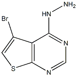 5-BroMo-4-hydrazinylthieno[2,3-d]pyriMidine CAS#: 1239460-84-4