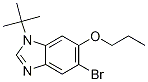 5-Bromo-1-t-butyl-6-propoxy-1,3-benzodiazole CAS#: 1314985-53-9