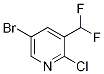 5-Bromo-2-chloro-3-(difluoromethyl)pyridine CAS#: 1332392-76-3