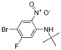 5-Bromo-2-(t-butylamino)-4-fluoro-1-nitrobenzene CAS#: 1150114-26-3