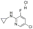5-Chloro-2-cyclopropylaMino-3-fluoropyridine, HCl CAS#: 1073372-09-4