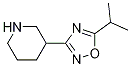 5-Isopropyl-3-(piperidin-3-yl)-1,2,4-oxadiazole CAS#: 1251999-18-4