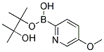 5-METHOXYPYRIDINE-2-BORONIC ACID PINACOL ESTER CAS#: 1309601-77-1