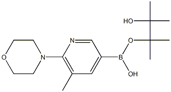 5-METHYL-6-MORPHOLINOPYRIDINE-3-BORONIC ACID PINACOL ESTER CAS#: 1073372-03-8
