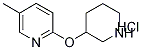 5-Methyl-2-(piperidin-3-yloxy)-pyridine hydrochloride, 98+% C11H17ClN2O, 分子量 228.72 CAS#: 1185308-63-7