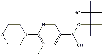 5-Methyl-6-(morpholin-4-yl)pyridine-3-boronic acid pinacol ester CAS#: 1073372-03-8
