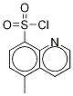 5-Methyl-8-quinoxalinesulfonyl Chloride CAS#: 71322-92-4