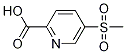 5-(Methylsulfonyl)-2-pyridinecarboxylic Acid CAS#: 1186663-48-8