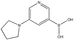 5-(Pyrrolidin-1-yl)pyridin-3-ylboronic acid CAS#: 1218790-56-7