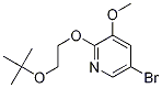 5-broMo-2-(2-tert-butoxyethoxy)-3-Methoxypyridine CAS#: 1299607-50-3