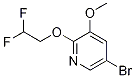 5-broMo-2-(2,2-difluoroethoxy)-3-Methoxypyridine CAS#: 1241752-34-0
