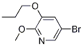 5-broMo-2-Methoxy-3-propoxypyridine CAS#: 1241752-40-8